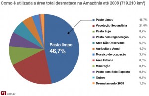 grafico-G1